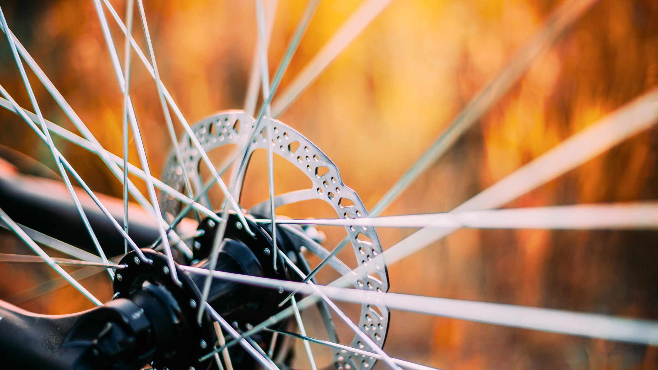A bicycle wheel